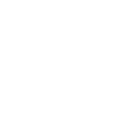 10_zemi